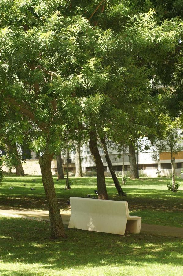 Lisboa Central Apartment المظهر الخارجي الصورة